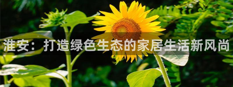 沐鸣2平台黑款：淮安：打造绿色生态的家居生活新风尚