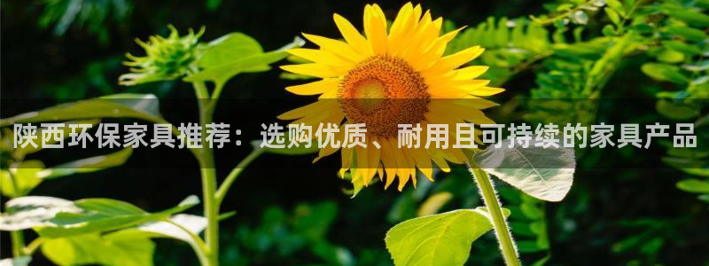 沐鸣2登入官网