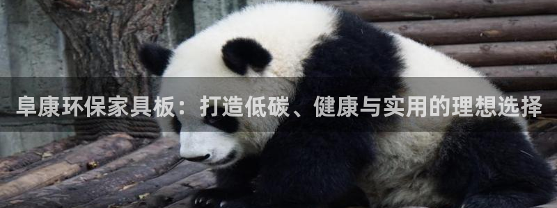 沐鸣2平台还在吗