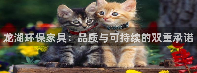 沐鸣2平台登录入口：龙湖环保家具：品质与可持续的双重承诺