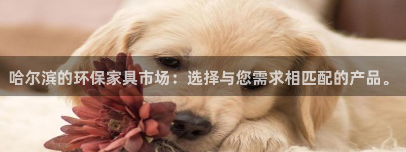 沐鸣2注册链接：哈尔滨的环保家具市场：选择与您需求相匹配的产