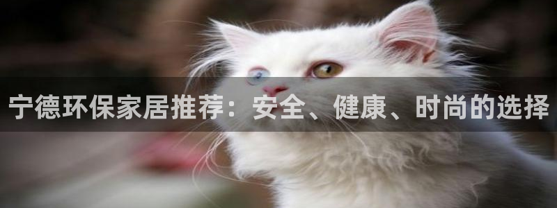 沐鸣2app怎样申请退款：宁德环保家居推荐：安全、健康、时尚