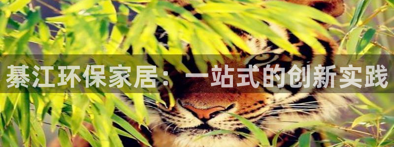 沐鸣2主管qq：綦江环保家居：一站式的创新实践