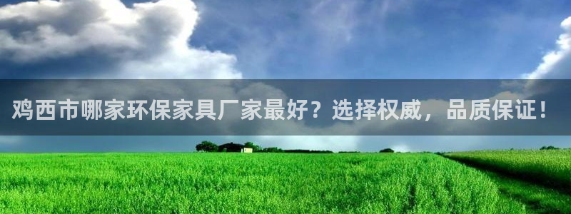 沐鸣2平台没有了：鸡西市哪家环保家具厂家最好？选择权威，品质