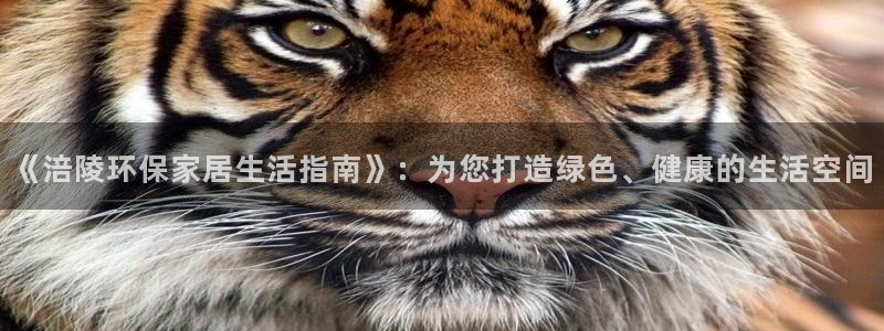 沐鸣2平台官网网址：《涪陵环保家居生活指南》：为您打造绿色、