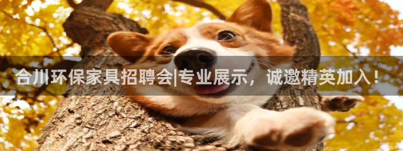 沐鸣2官网娱乐