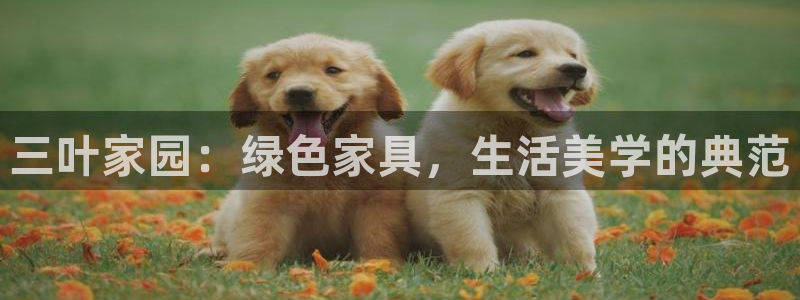 沐鸣2平台线路：三叶家园：绿色家具，生活美学的典范