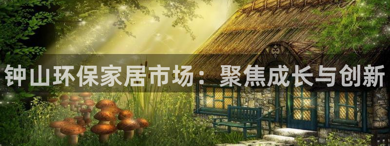 沐鸣2平台分红：钟山环保家居市场：聚焦成长与创新